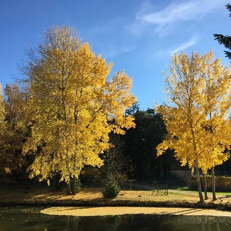 Tatil Evi Tiny Vacation *